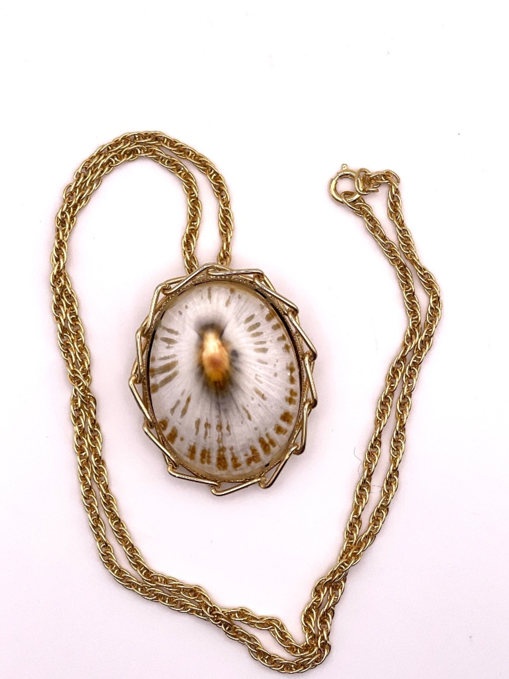 Vintage Hawaiian Opihi Shell Pendant Brooch Necklace